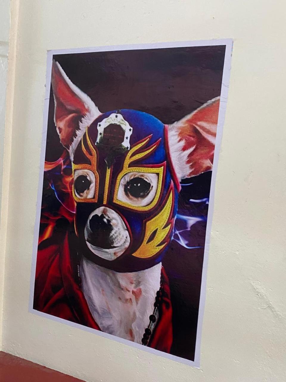מלון Oaxaca Mil Mascaras מראה חיצוני תמונה